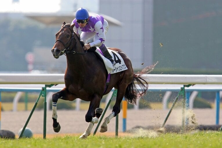 名手・武豊に「飛ぶかもしれない」と言わしめたオーシャンエイプス　©Yuji Takahashi