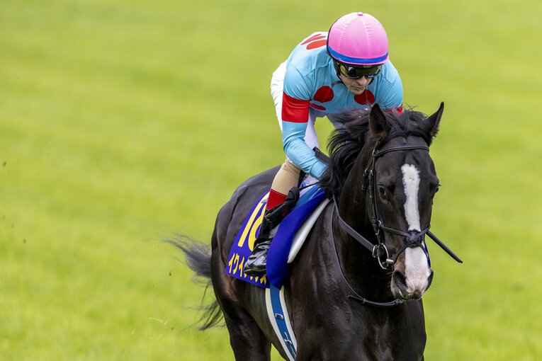 イクイノックスは約5カ月ぶりの実戦ながら、怪物級の走りを見せた　©Photostud