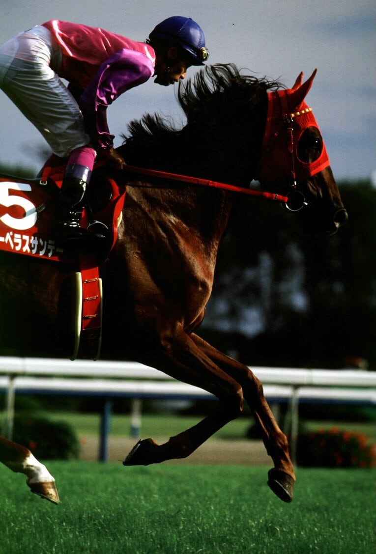 デビュー以来、一貫して武豊が手綱をとったマーベラスサンデー　©BUNGEISHUNJU