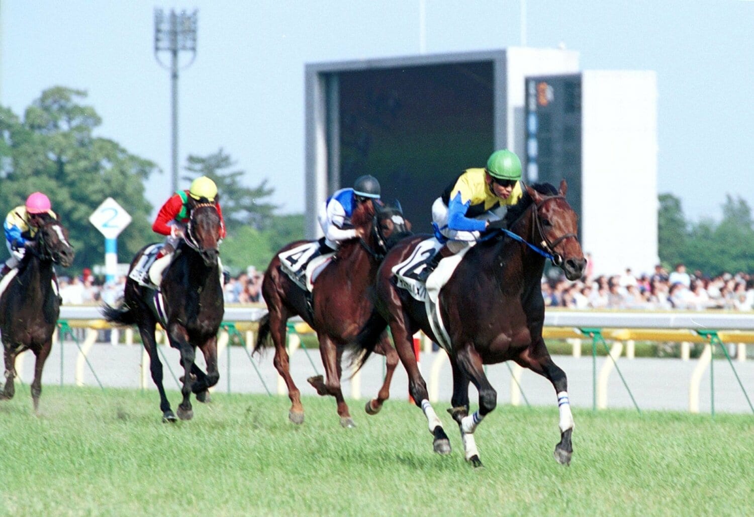 第71回日本ダービーを制覇したキングカメハメハと安藤勝己（2004年）　©︎Sankei Shimbun