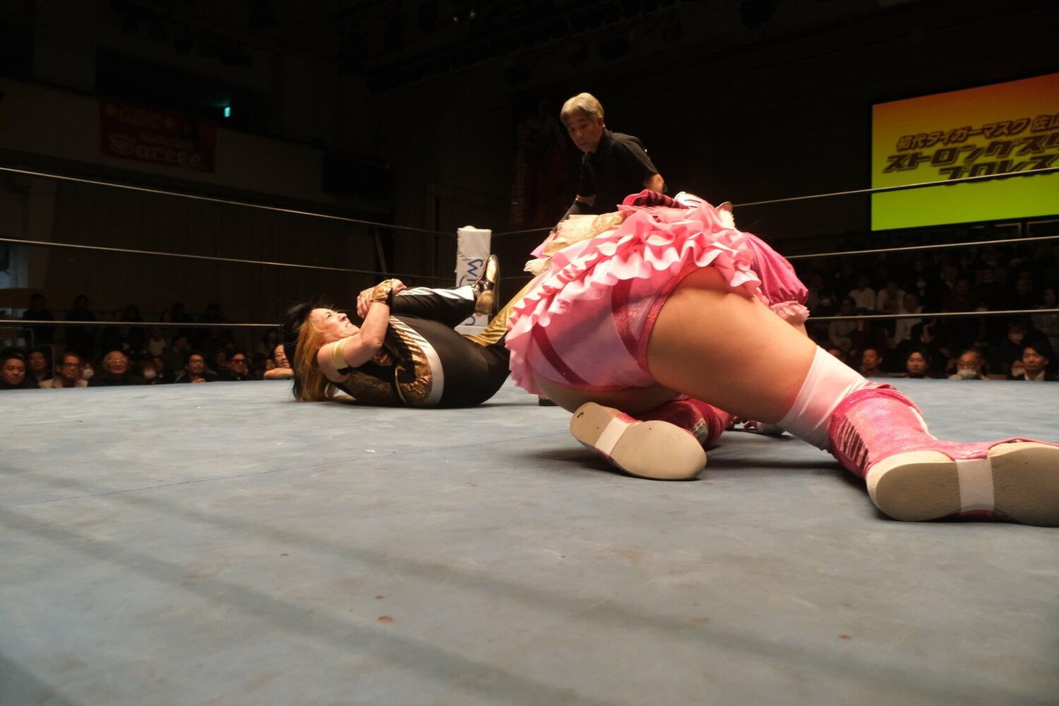 着地に失敗し、倒れ込んだタイガー・プリンセス ©Norihiro Hashimoto