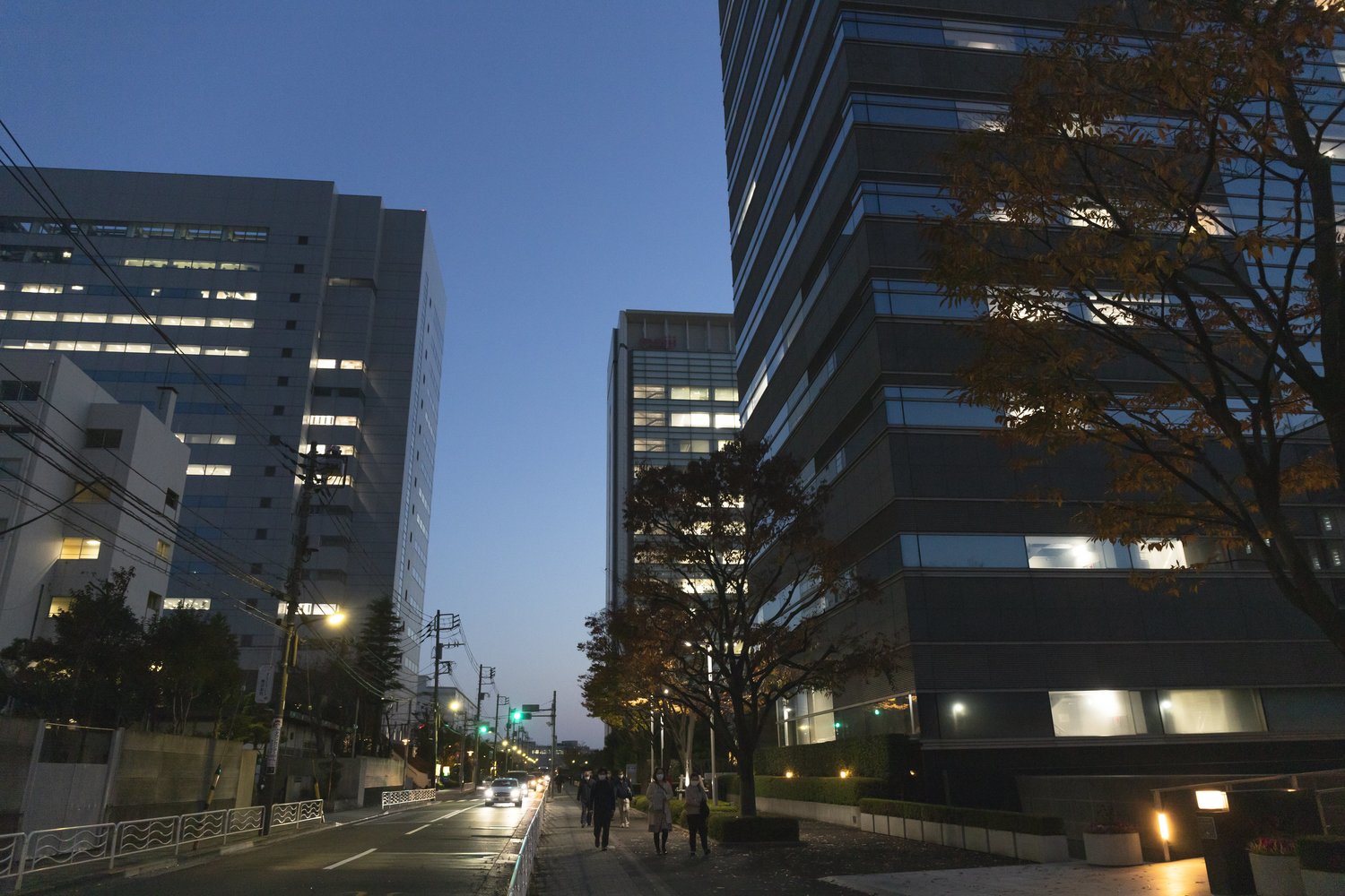 夕暮れどき、巨大なオフィスビルの間を進んでいくと……