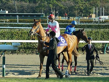 仕方なく出したアジアエクスプレスで2013年朝日杯FSを制した手塚師　今年はドゥラモンドで挑む＜Number Web＞ photograph by Satoshi Hiramatsu