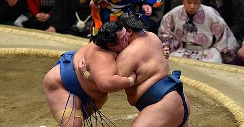 豪栄道を徹底解剖 - Number Web - ナンバー