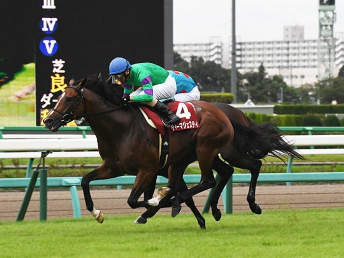 「菊花賞は強い馬が勝つ」は古い。折り合いが重要なら、ディーマジェ。＜Number Web＞ photograph by NIKKAN SPORTS