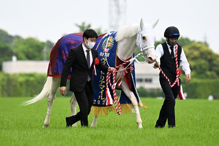 ソダシvsスターズオンアースは競馬史に残るレースとなるか？「ウオッカとダイワスカーレット」以来の“名牝ライバル誕生”を期待してしまう理由(21)