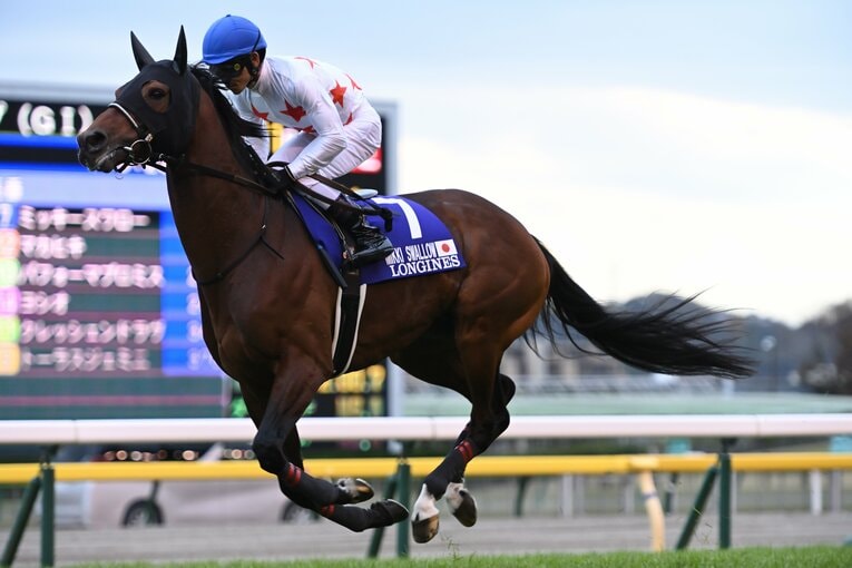 2020年ジャパンCではミッキースワローに騎乗　©Keiji Ishikawa