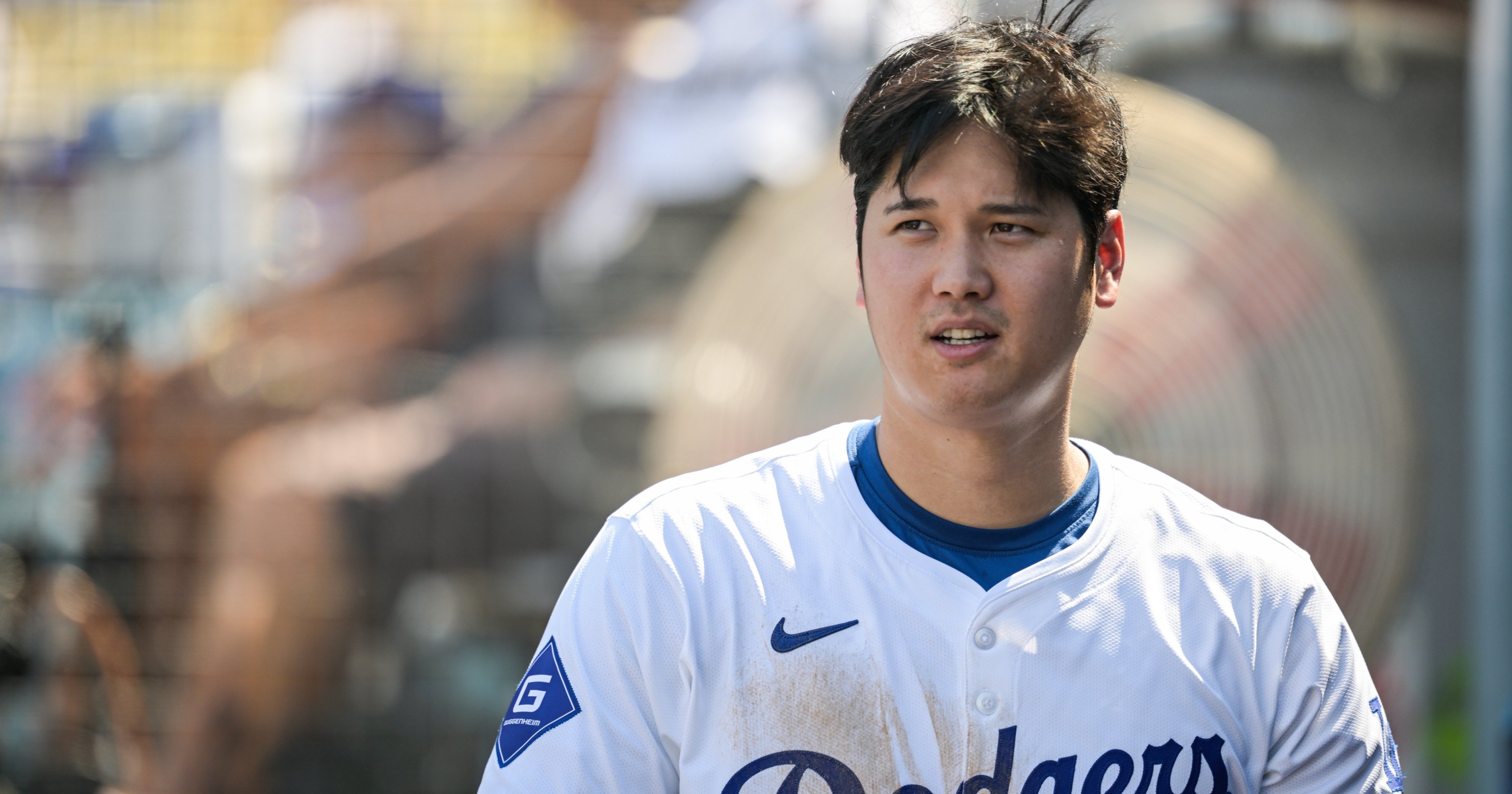 MLB 賑々しい LAエンジェルス 大谷翔平×マイクトラウト PSA10