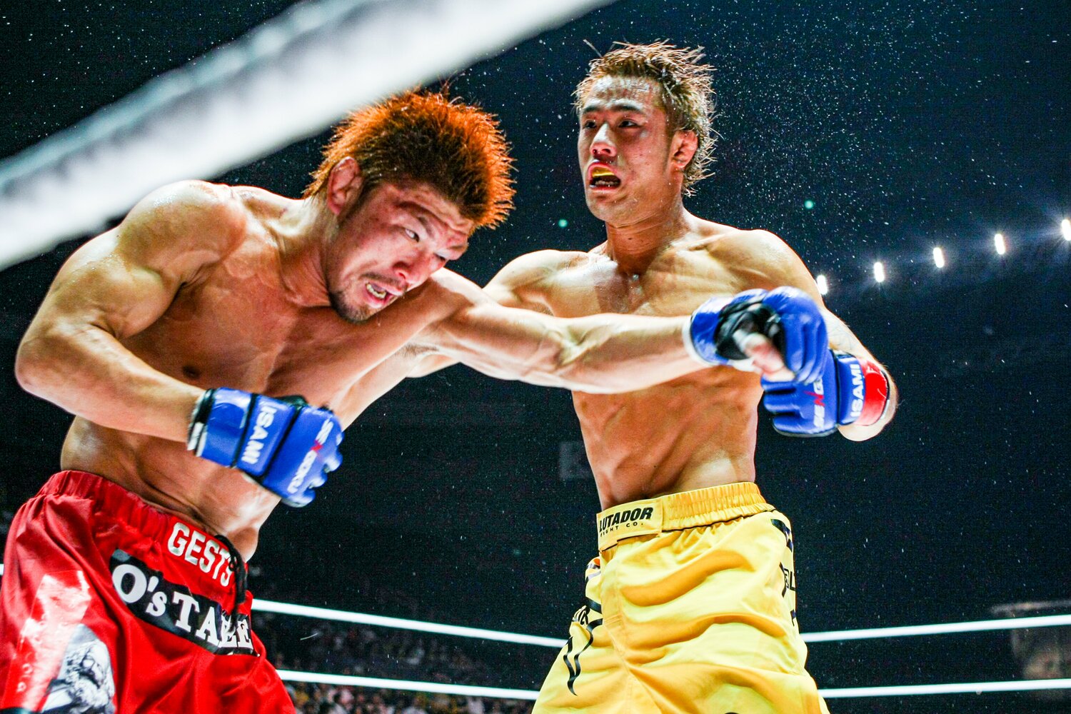 2009年8月、戦極フェザー級グランプリ決勝で小見川道大に勝利した金原正徳　©Susumu Nagao