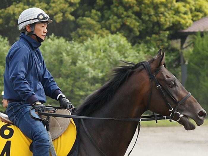 「涙が止まらなかった」天皇賞秋、 デビュー直後のバセドウ病、恩師の死…今月50歳、田中勝春の波瀾の半生<Number Web> photograph by Satoshi Hiramatsu