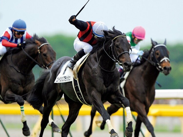 【エイシンフラッシュ】第77回日本ダービー(現地的中馬券) エイシンフラッシュ】第77回日本ダービー(現地的中馬券