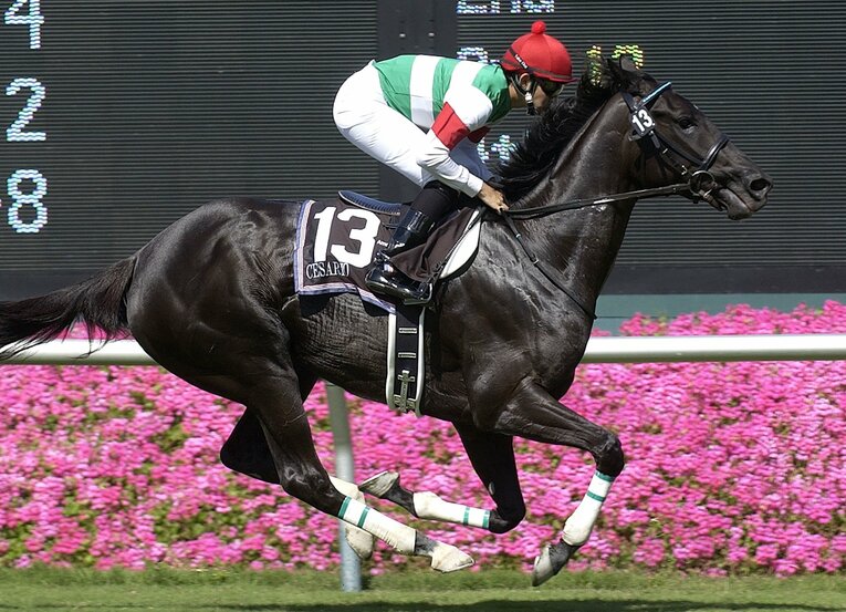 2005年のアメリカンオークス（GI）を制した際のシーザリオと福永祐一　©AFLO