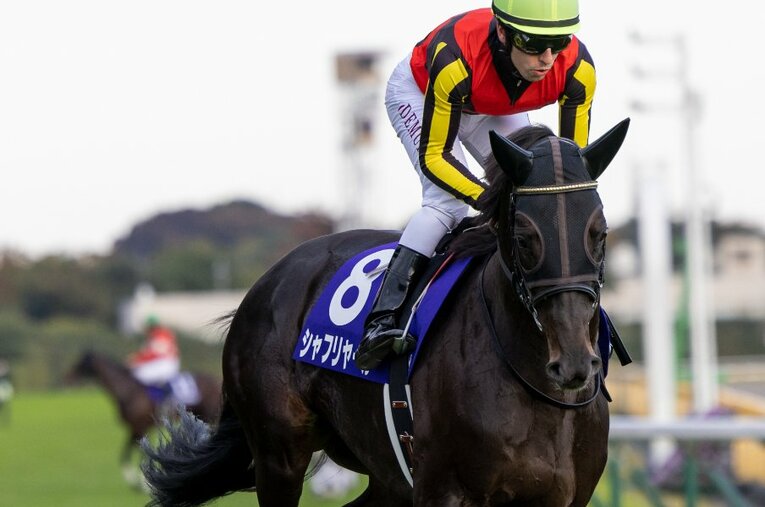 前走、天皇賞・秋では5着に敗れたシャフリヤール。ジャパンカップで頂点を掴めるか？ ／ photograph by Photostud