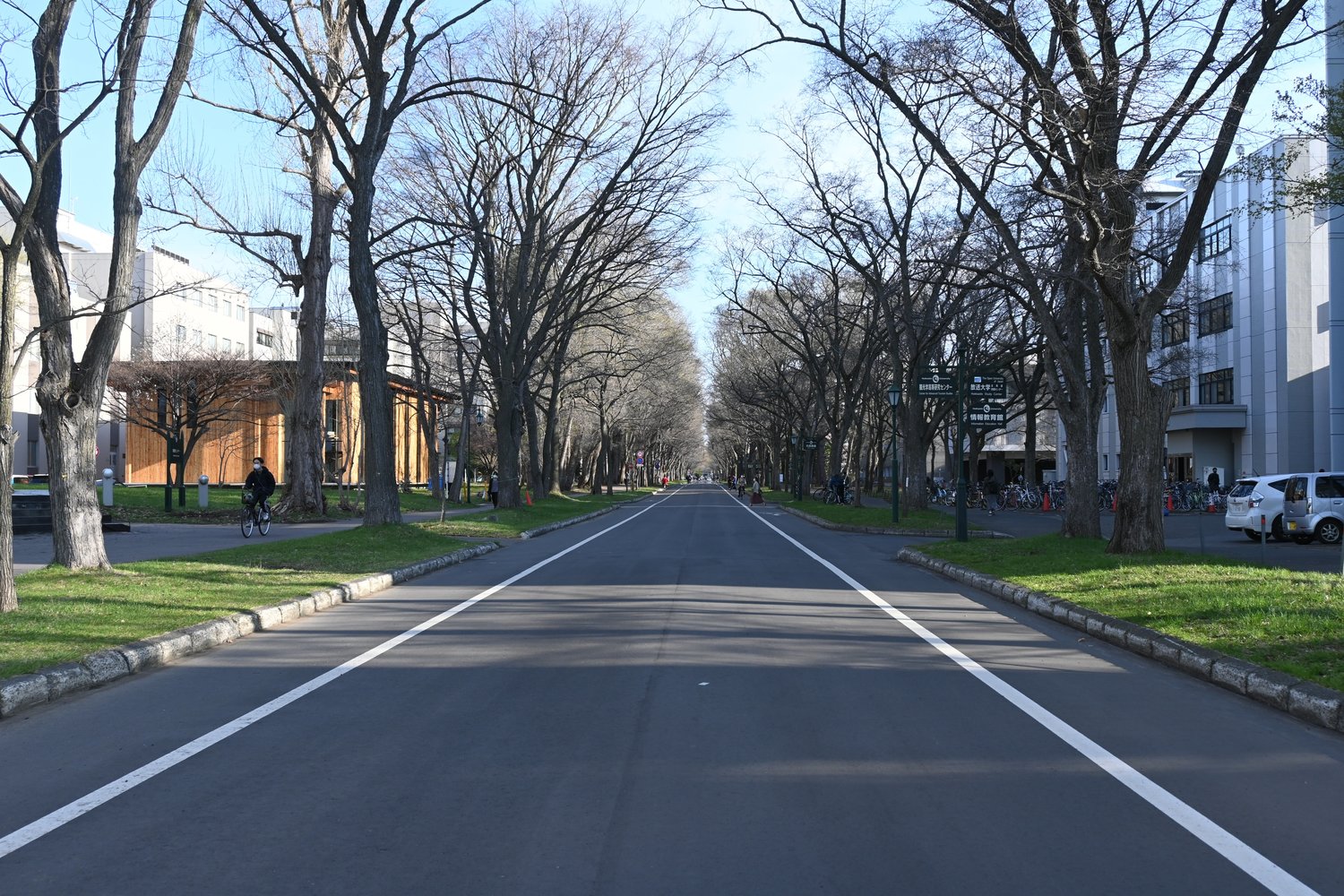 北大メインストリートは約1キロの直線（撮影は北端から）