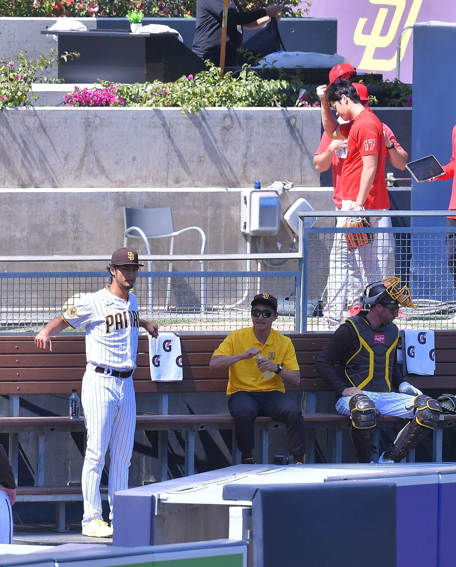 パドレスvsエンゼルスでは「ダルビッシュと大谷のW投球練習」が実現した　©JIJI PRESS