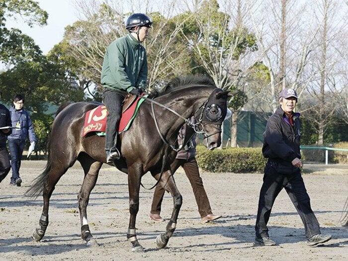 死角がどうにも見当たらない……。桜花賞はソウルスターリングの一強。＜Number Web＞ photograph by Kyodo News