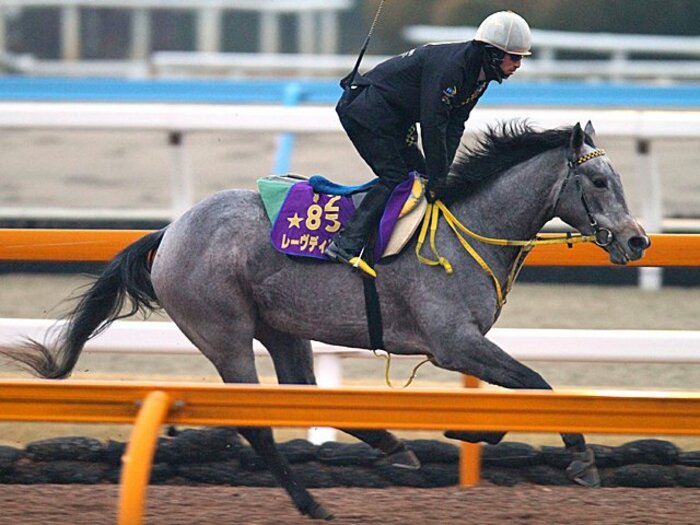 主役の決まった牝馬路線、牡馬のヒーローは？～クラシック戦線を展望する～＜Number Web＞ photograph by Yuji Takahashi