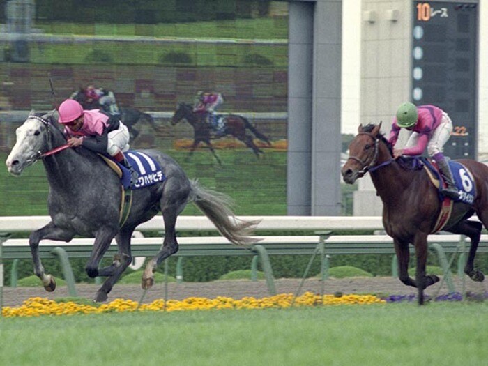 【天皇賞・春】“ビワハヤヒデvsナリタタイシン”以来の阪神開催で何かが起きる？  当時、岡部幸雄が美浦に戻って語ったこととは＜Number Web＞ photograph by Kyodo News