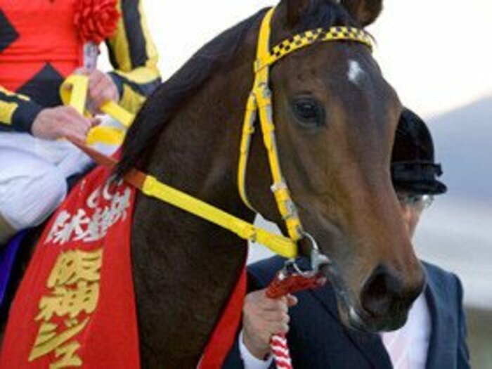 2009年に期待高まる実力派の2歳馬たち。＜Number Web＞ photograph by Yoko Kunihiro