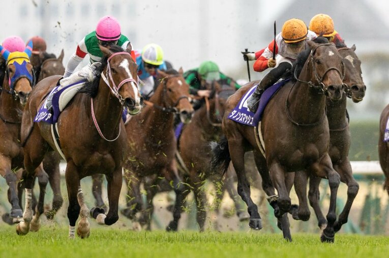 今年の高松宮記念（GI）を制したダノンスマッシュ（右）と2着のレシステンシア。今週末のスプリンターズSにて再び激突する ／ photograph by Photostud