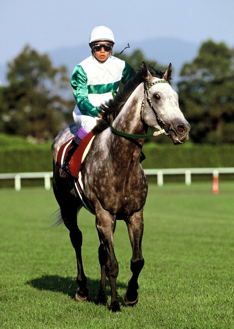 結果的にメジロマックイーンのラストランとなった1993年の京都大賞典。2分22秒7という驚異的なレコードタイムをマークした　©Tomohiko Hayashi