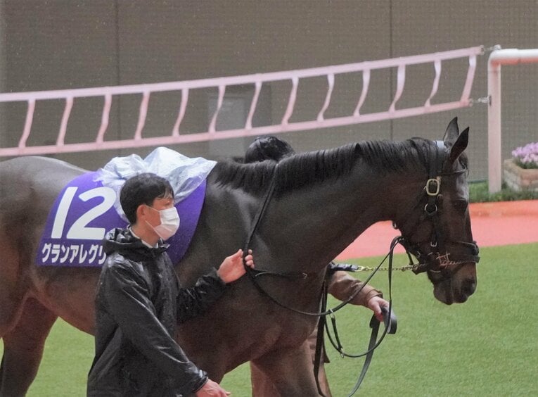 大阪杯でのグランアレグリア