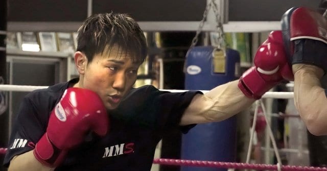 ボクシング shirakaba SHIRAHAMA 2: CHERRY BLOSSOM KANJI