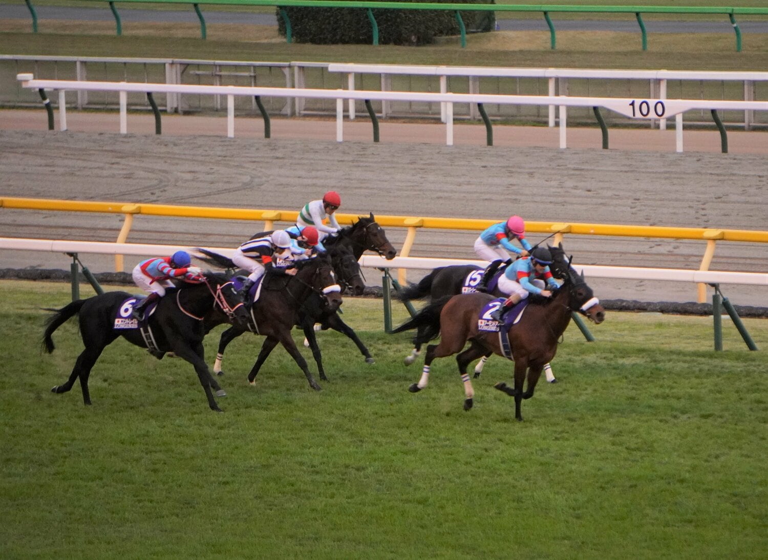 最後の直線では、アーモンドアイが差し切った　©Satoshi Hiramatsu