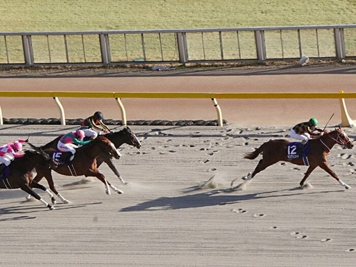 快挙と恩返しのフェブラリーS。モズアスコットと人気薄2着馬の秘話。＜Number Web＞ photograph by Satoshi Hiramatsu