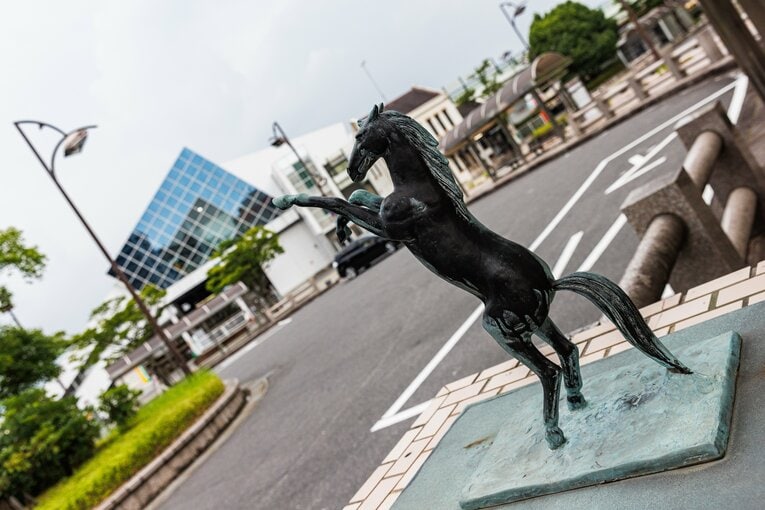 後ろ足で立ち上がっている馬