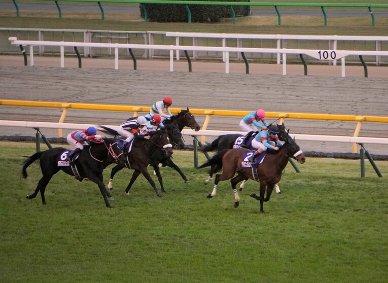 最後の直線では、アーモンドアイが差し切った　©Satoshi Hiramatsu