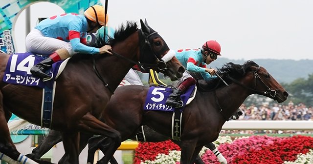 img_fc8e3c1ee8a716ddc1d181bde9