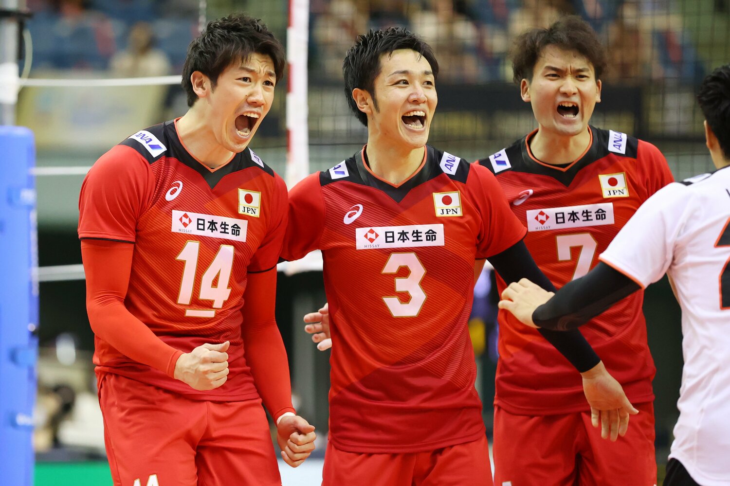 東京五輪ではベスト8進出に貢献した藤井直伸。9月のアジア選手権では正セッターを務めた　©YUTAKA/AFLO SPORT