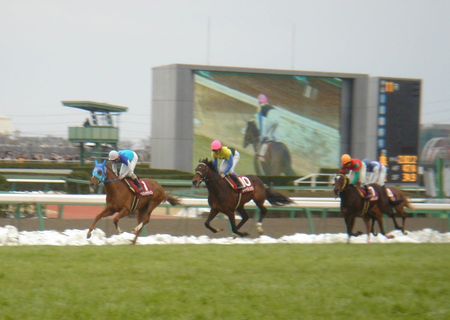 弥生賞でのディープインパクト（中央）。左はアドマイヤジャパン