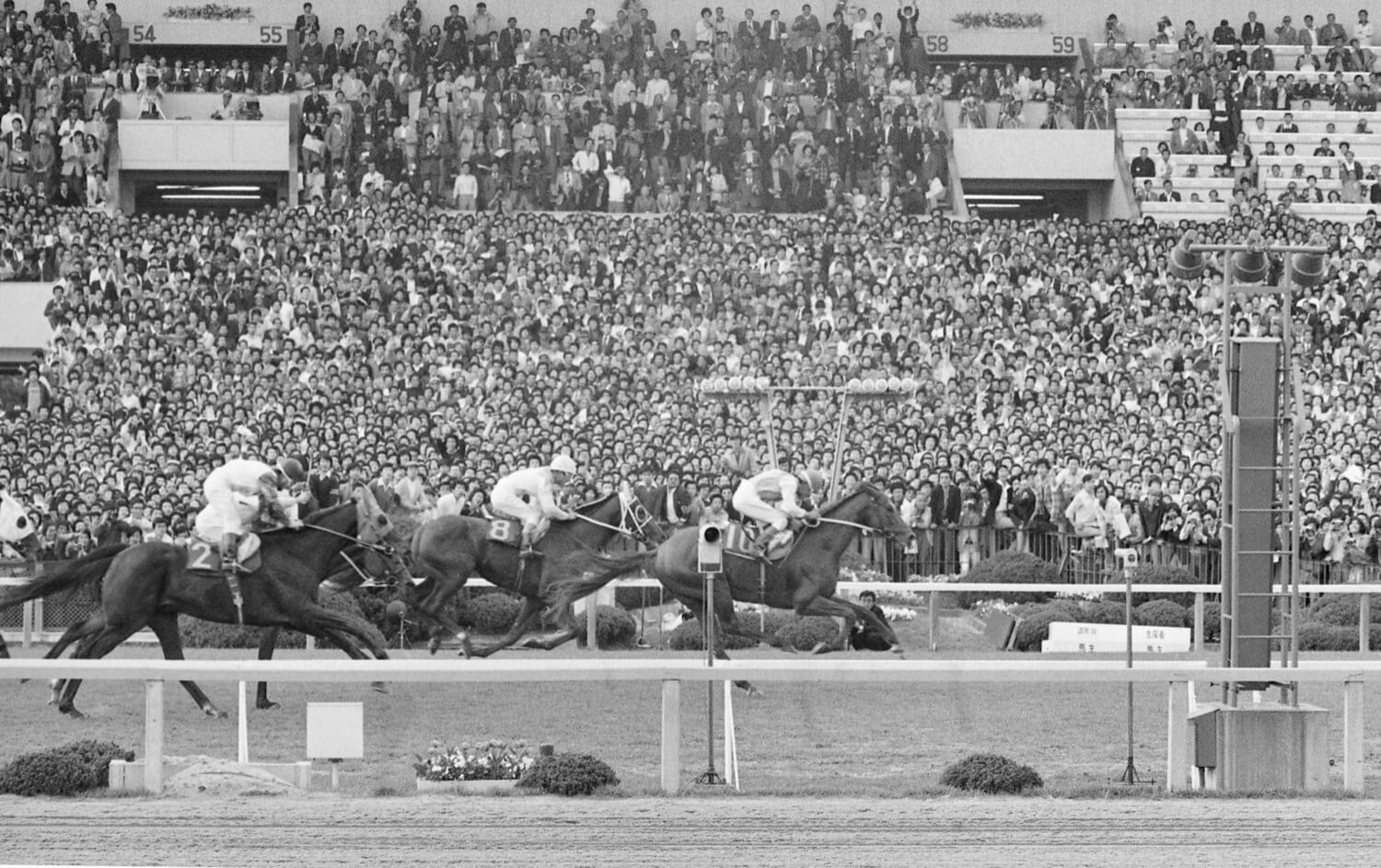 1977年のテンポイント(天皇賞) ©JIJI PRESS