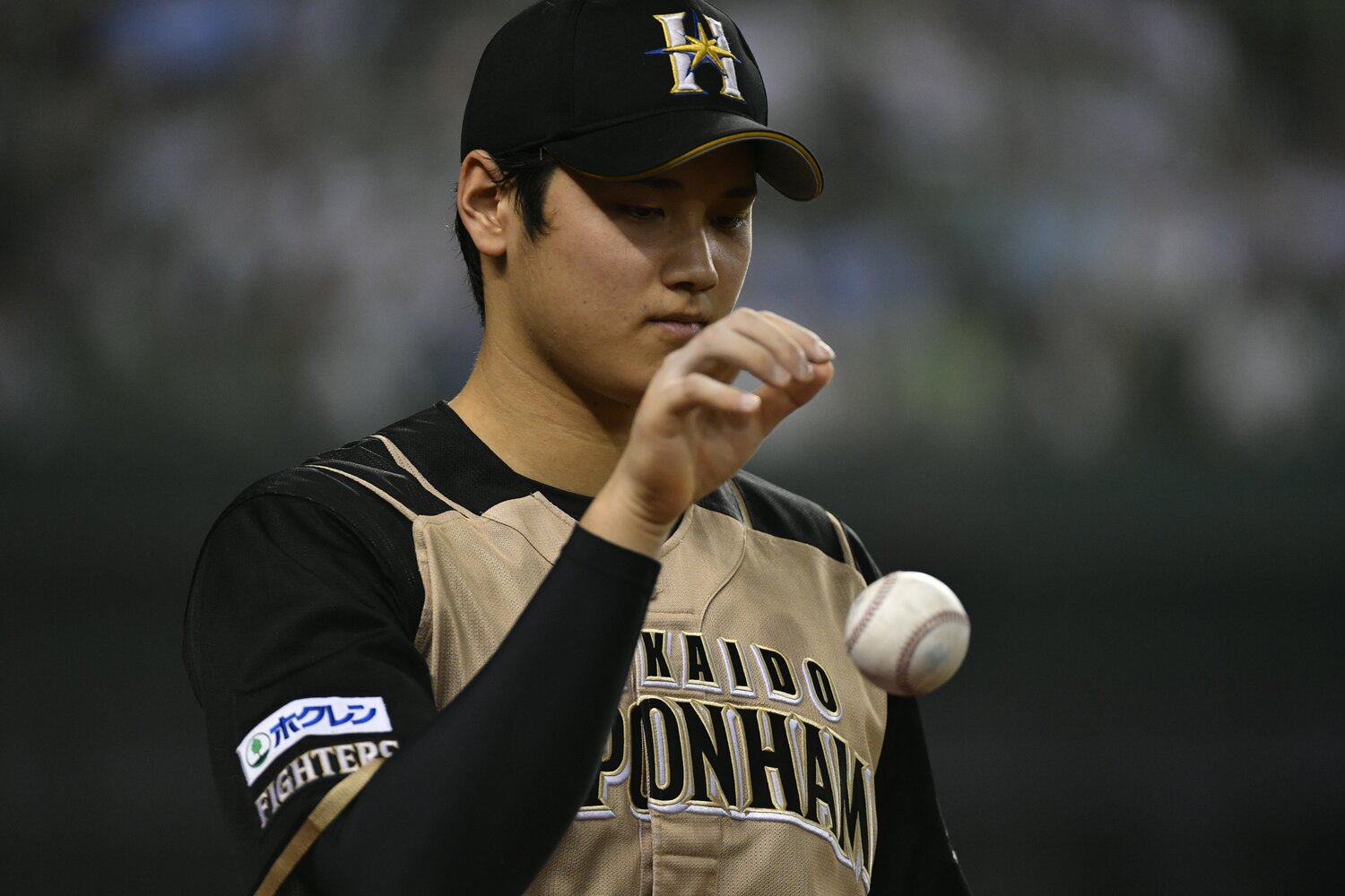 2016年の大谷翔平 ©Takuya Sugiyama