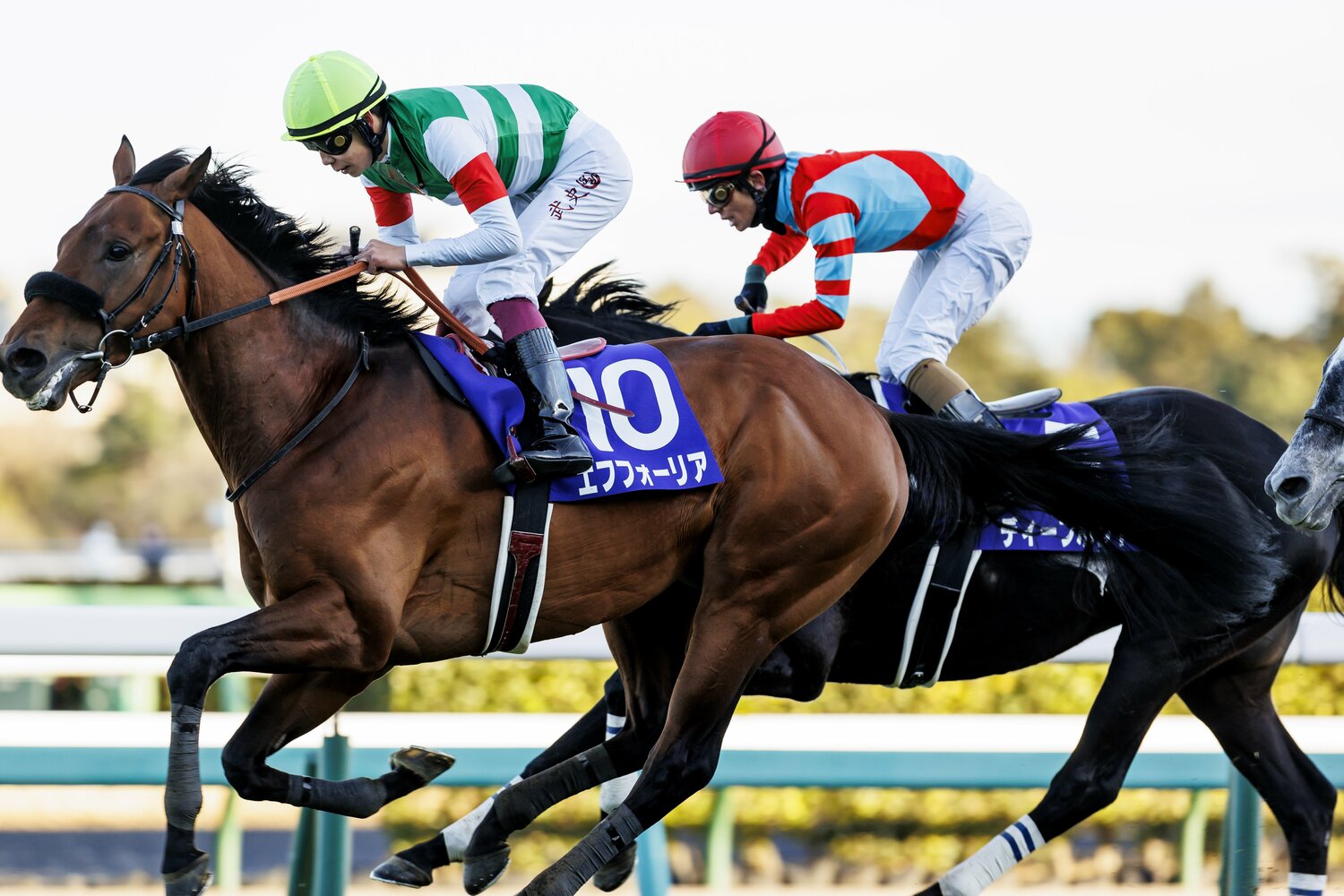 昨年の有馬記念を制したエフフォーリアと横山武史 ©Kiichi Matsumoto