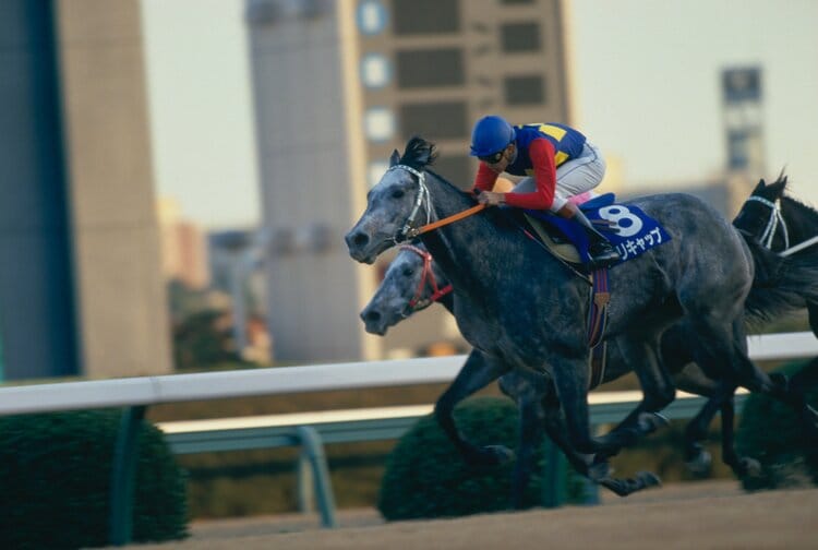 オグリキャップ 有馬記念ラストラン 武豊騎手 生写真 - その他