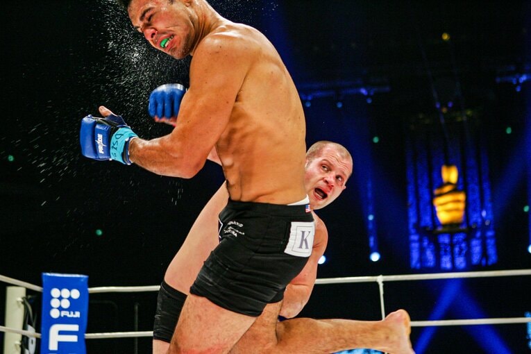 寝技決着を狙うノゲイラに対し、スタンドの打撃で優位に立ったヒョードル