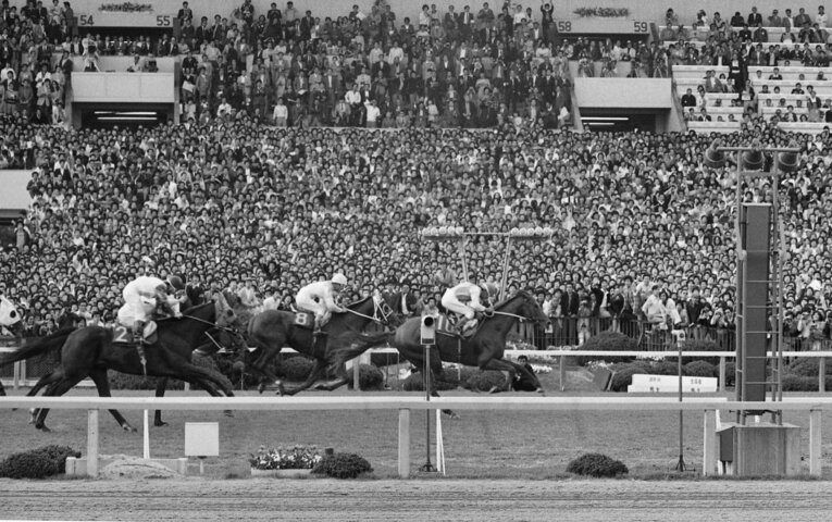 1977年のテンポイント（天皇賞）　©JIJI PRESS