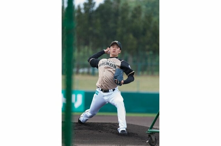 2015年　©Nanae Suzuki