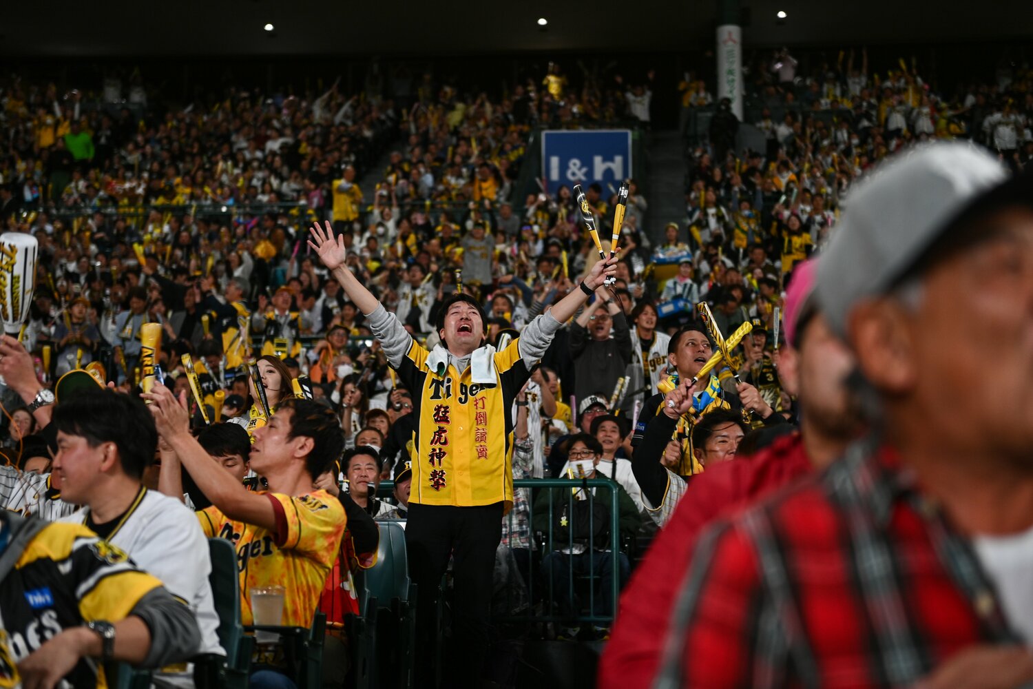 日本シリーズ第5戦。逆転に沸く阪神ファン　©︎Nanae Suzuki