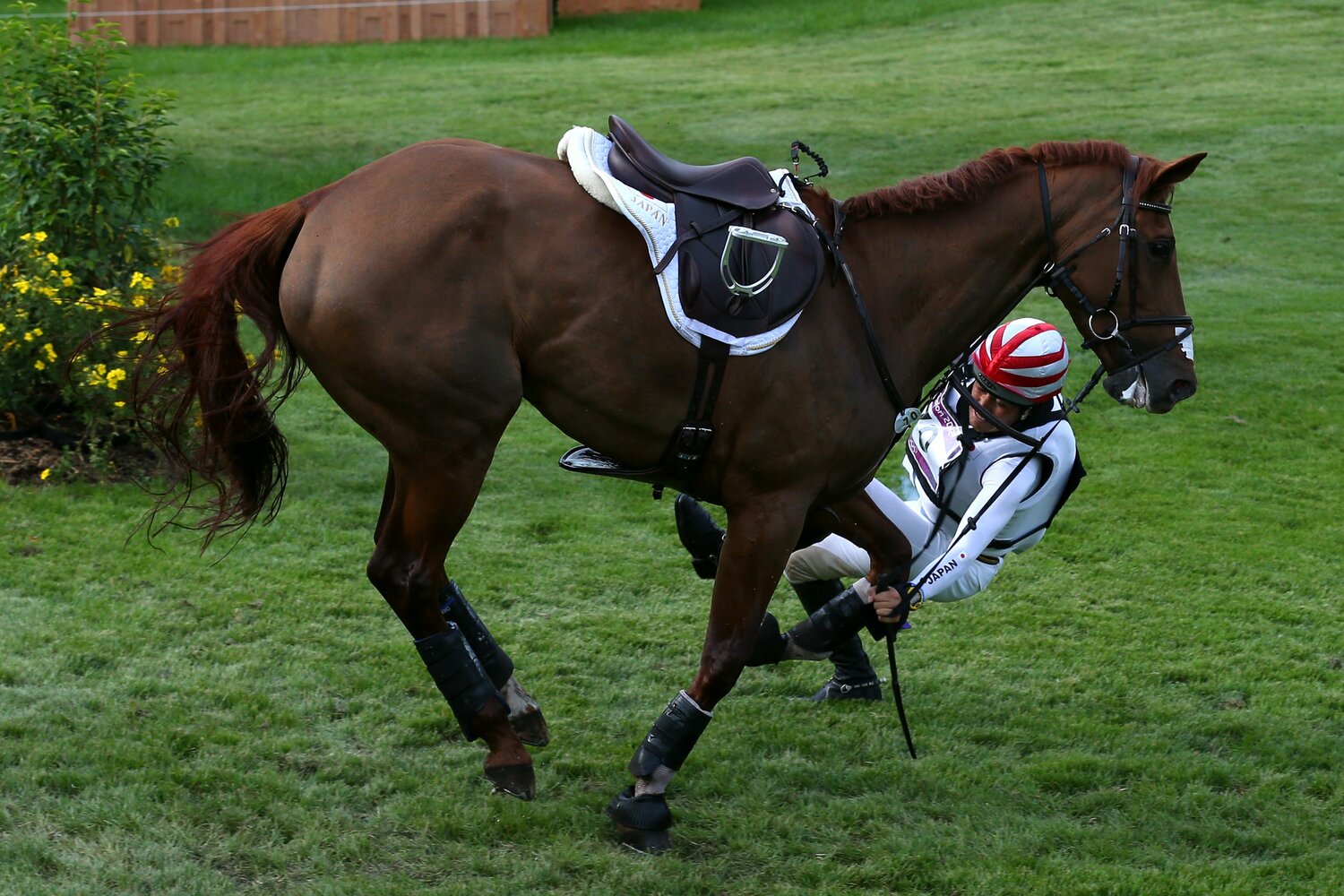 ロンドン五輪ではまさかの落馬を喫した　©Alex Livesey/Getty Images