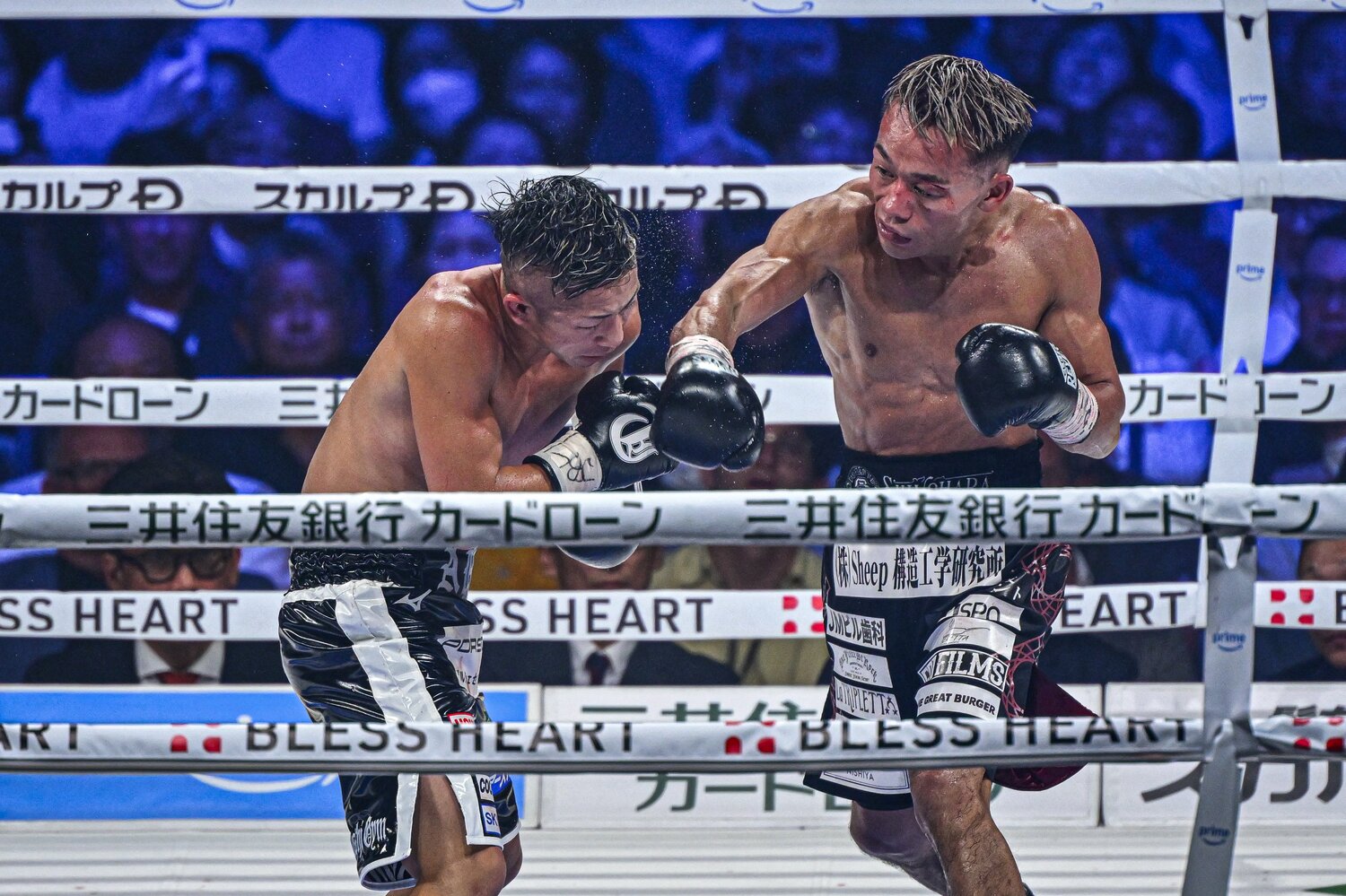 長谷川穂積さんは「中谷選手とやったら分からない」とWBA王者の堤聖也を高く評価する　©Takuya Sugiyama