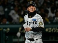 阪神タイガース ウィンドブレイカー プロコレ(和田監督時代) 阪神
