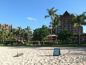 カヌー、サーフィン、そしてホテル。ハワイはスポーツと文化がいっぱい！