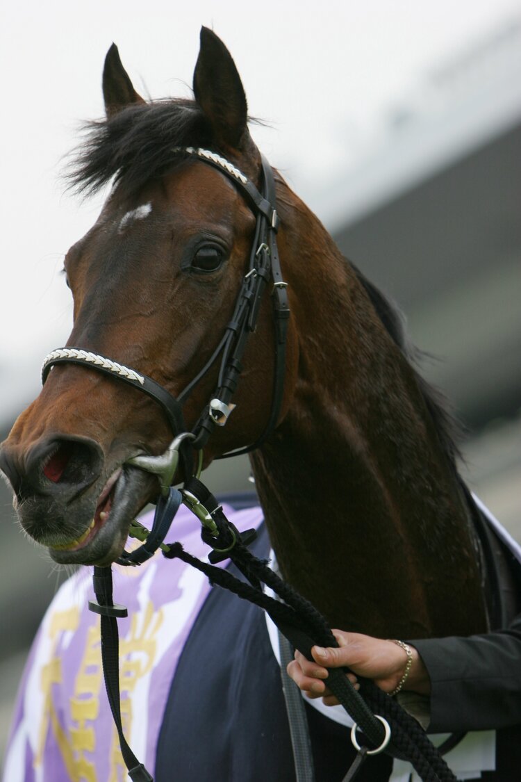 三冠馬のラストラン》ディープとオルフェは有終の美、ブライアンは