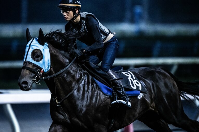 調教で馬にまたがる宮川騎手　©Takuya Sugiyama