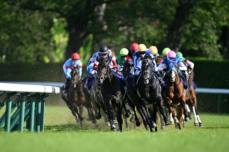 4コーナーの連続写真。ロブチェンに競りかけるリアライズシリウス（4枚目／全10枚） ©Keiji Ishikawa