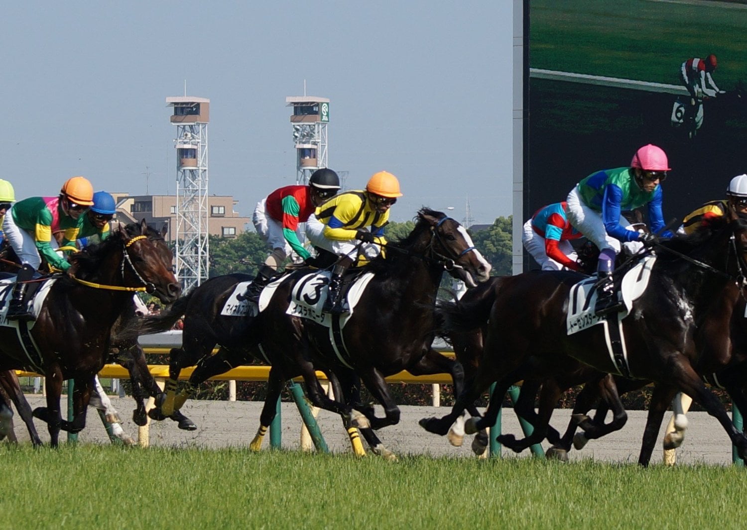 ダービーでのイスラボニータ(中央)